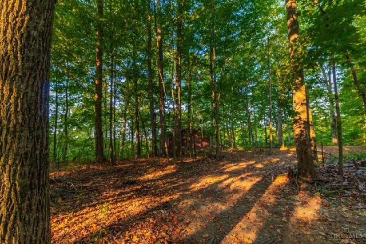 Picture of Home For Sale in Manchester, Ohio, United States