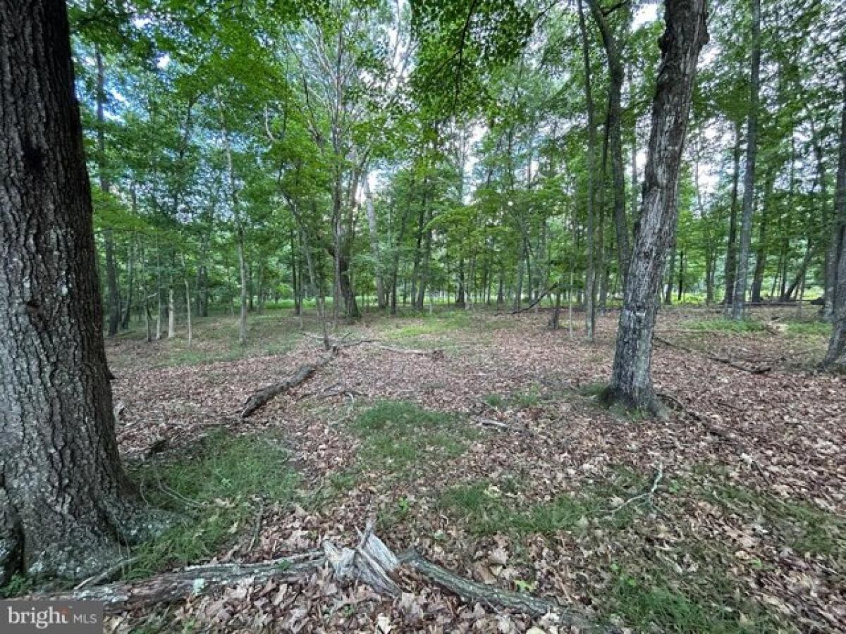 Picture of Residential Land For Sale in Augusta, West Virginia, United States