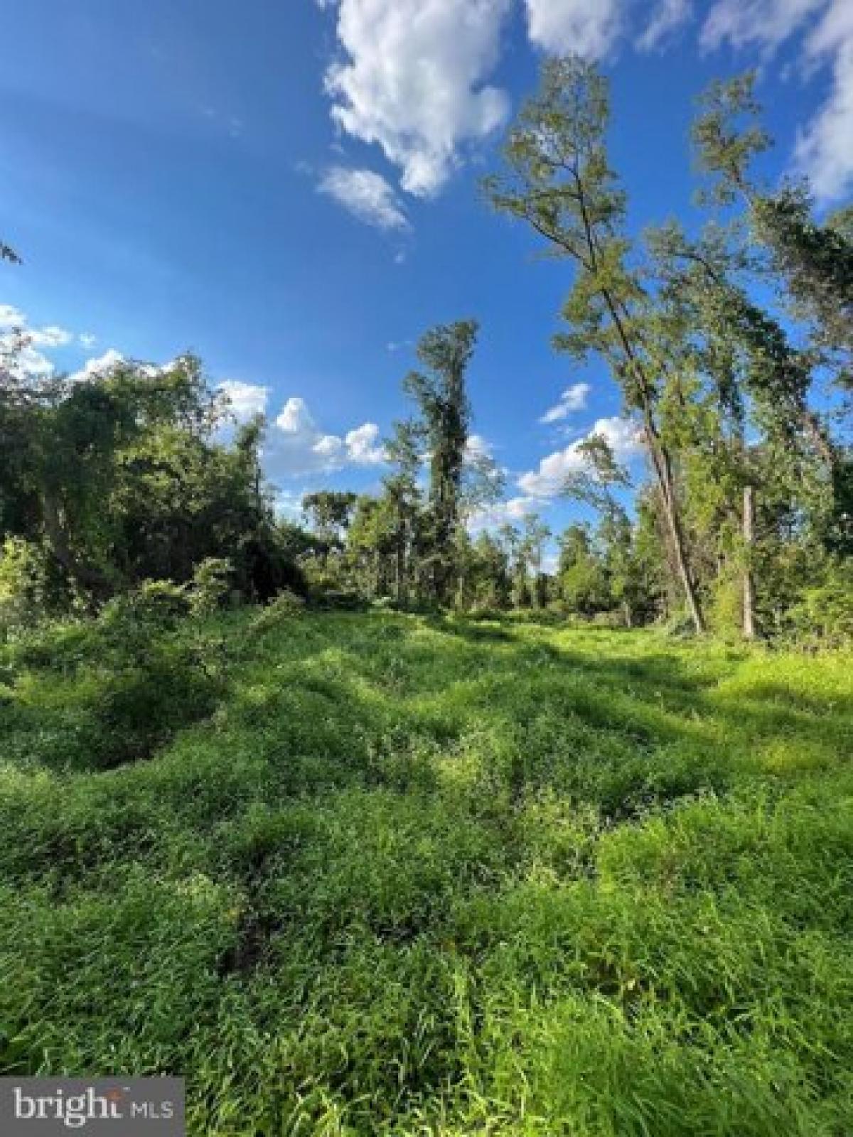 Picture of Residential Land For Sale in Dillsburg, Pennsylvania, United States