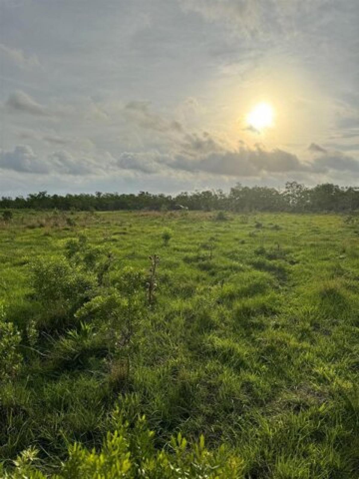 Picture of Residential Land For Sale in Orange, Texas, United States