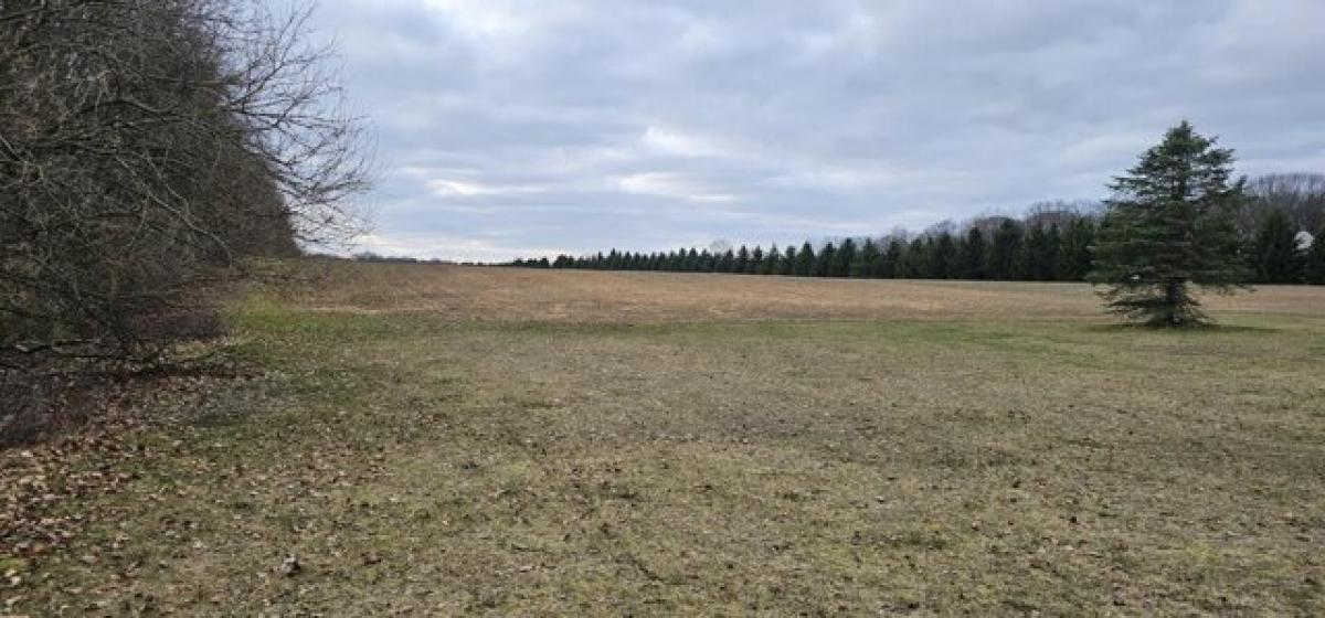 Picture of Residential Land For Sale in Gobles, Michigan, United States