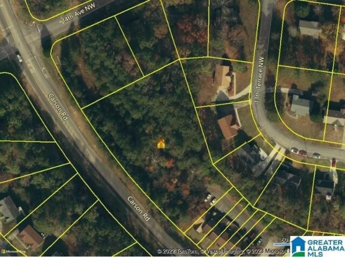 Picture of Residential Land For Sale in Birmingham, Alabama, United States