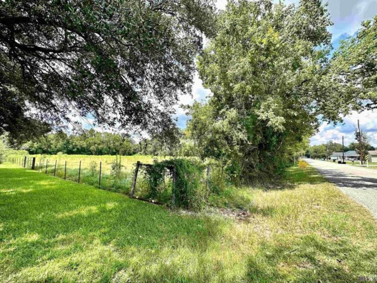 Picture of Residential Land For Sale in Gonzales, Louisiana, United States