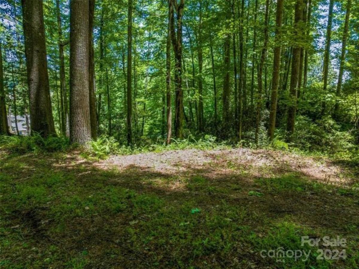 Picture of Residential Land For Sale in Arden, North Carolina, United States