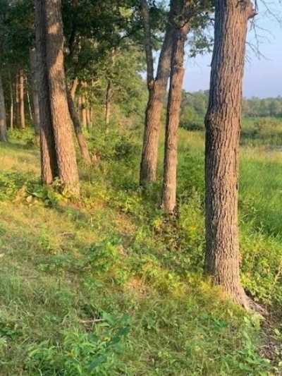 Residential Land For Sale in Pine River, Minnesota