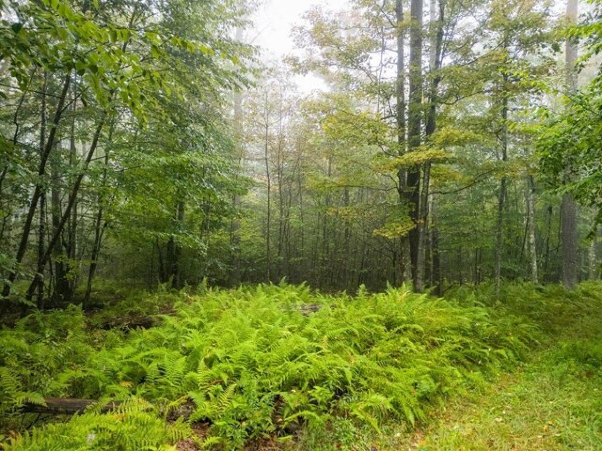 Picture of Residential Land For Sale in Galeton, Pennsylvania, United States