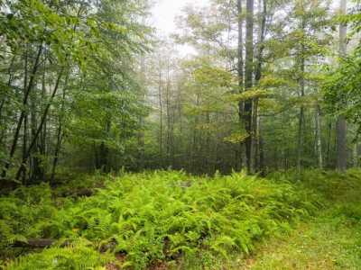 Residential Land For Sale in Galeton, Pennsylvania