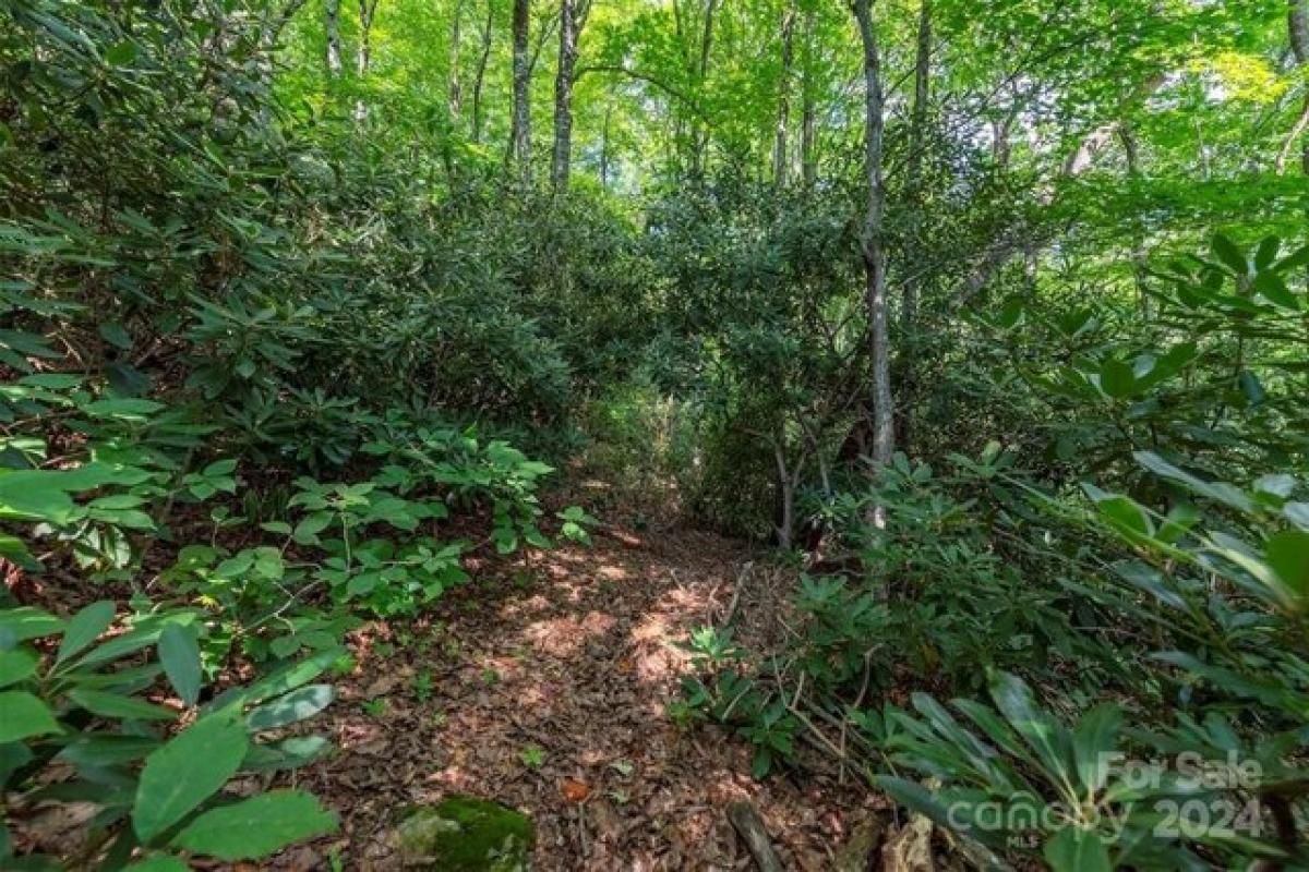 Picture of Residential Land For Sale in Black Mountain, North Carolina, United States