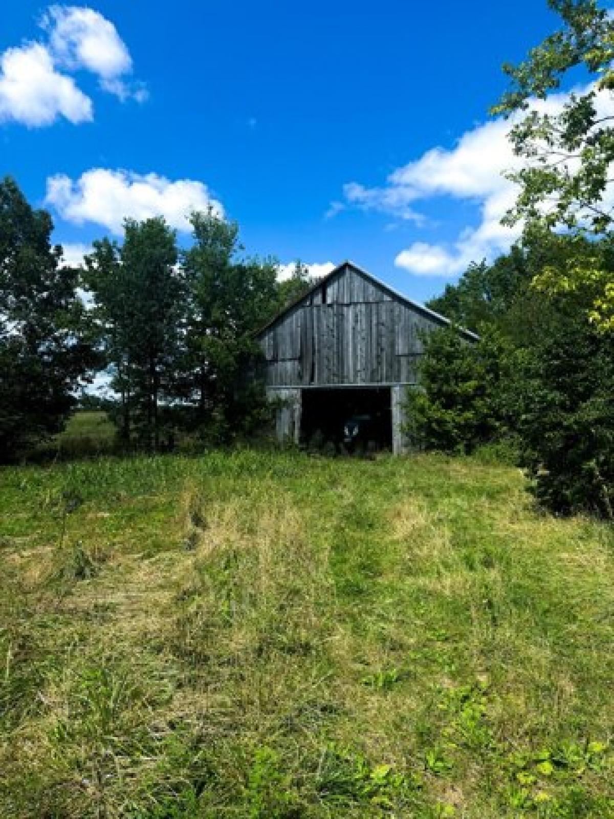 Picture of Residential Land For Sale in Carlisle, Kentucky, United States