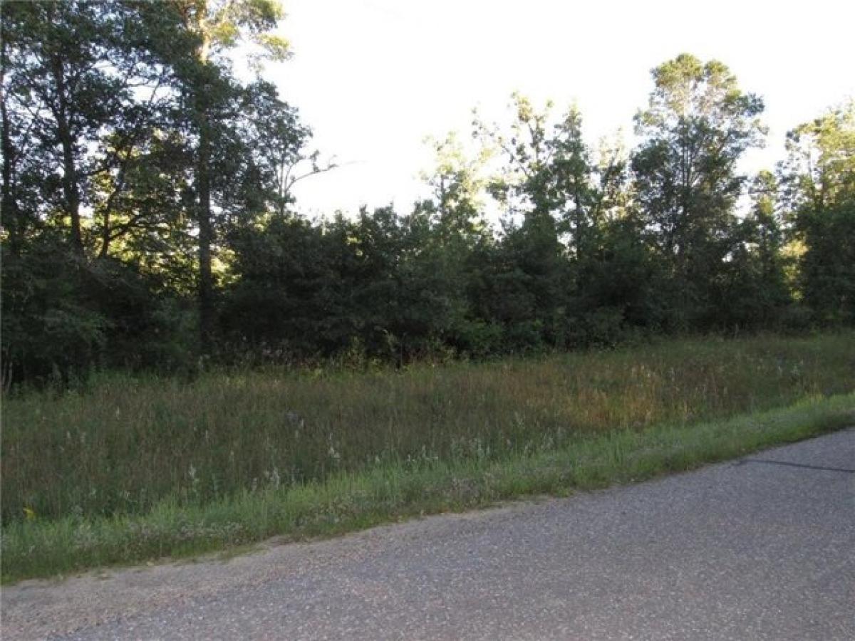 Picture of Residential Land For Sale in Backus, Minnesota, United States