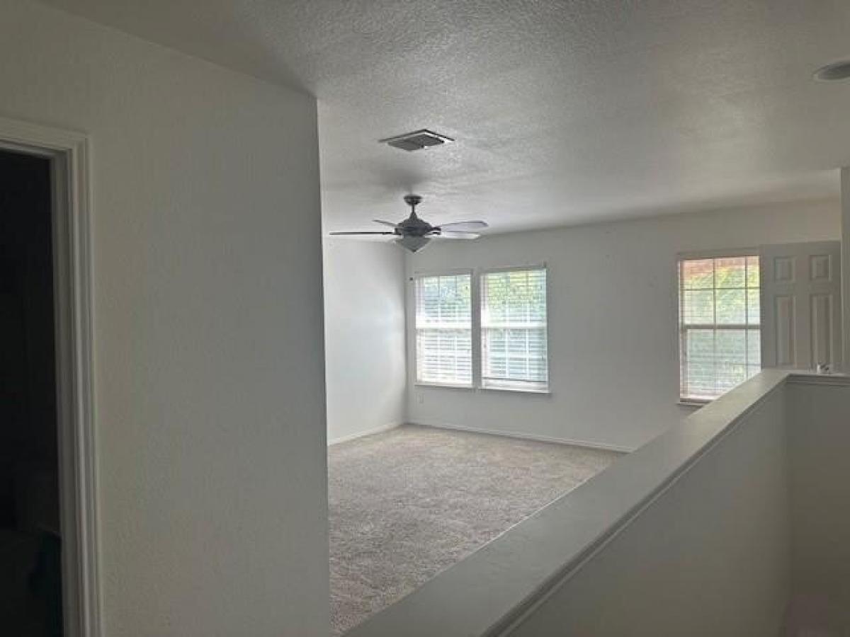 Picture of Home For Rent in Frisco, Texas, United States