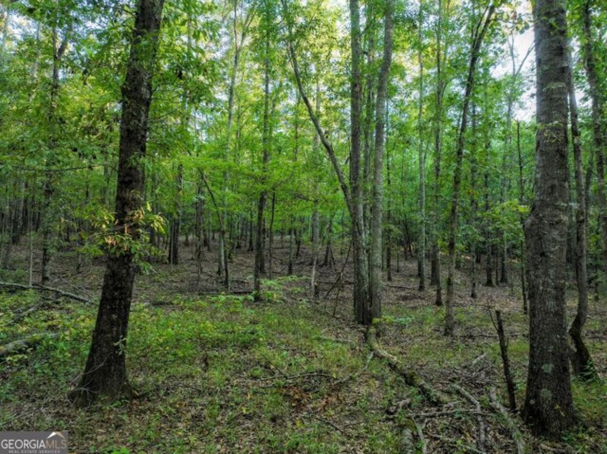 Picture of Residential Land For Sale in Barnesville, Georgia, United States