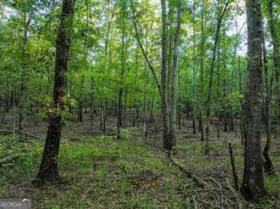 Residential Land For Sale in Barnesville, Georgia