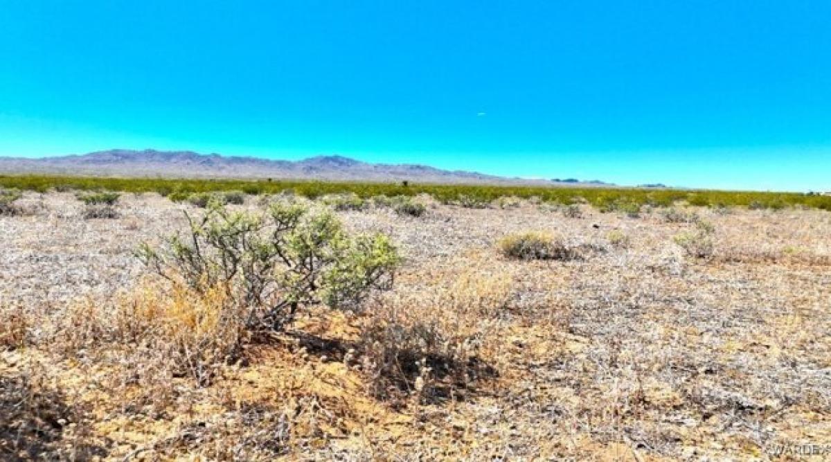 Picture of Residential Land For Sale in Dolan Springs, Arizona, United States