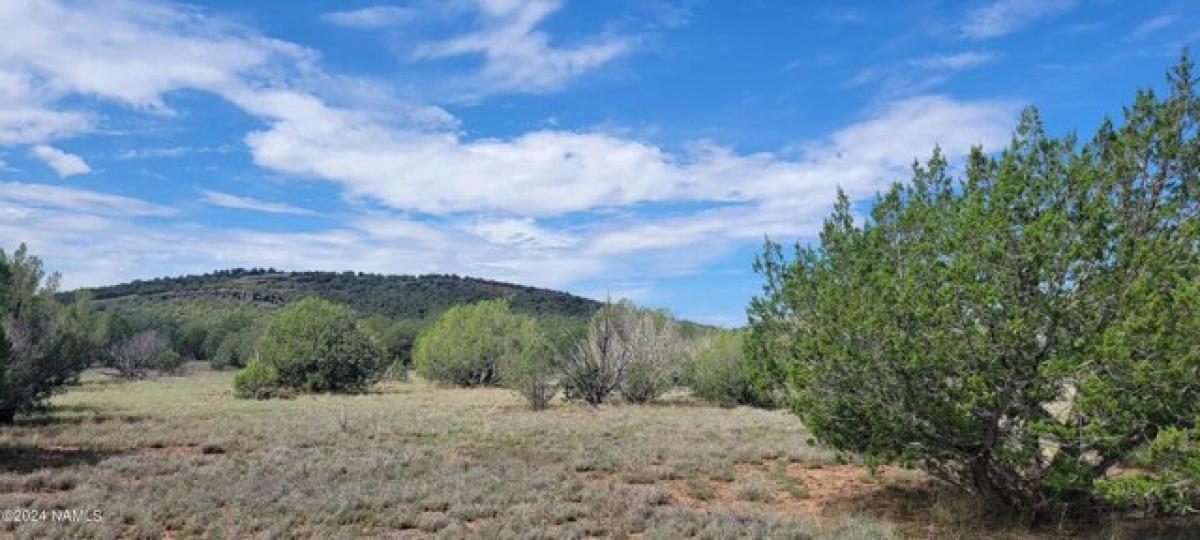 Picture of Residential Land For Sale in Williams, Arizona, United States