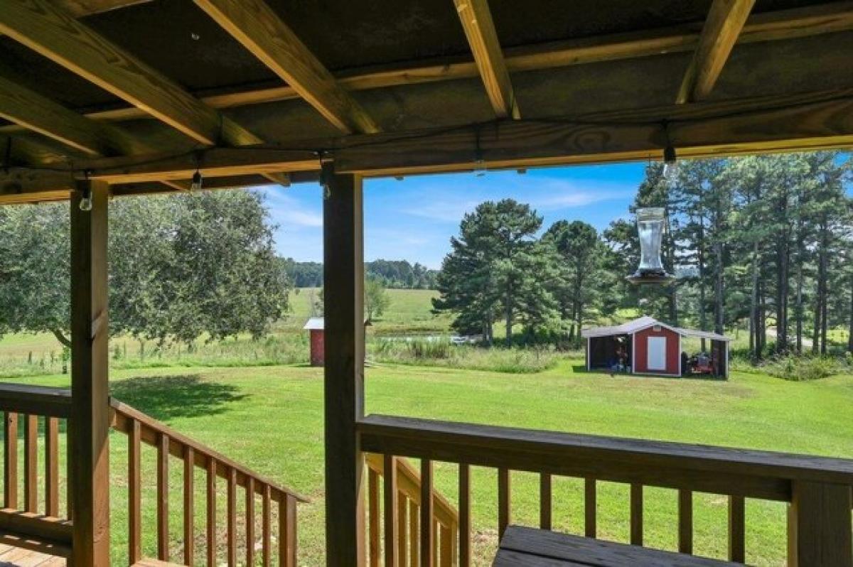 Picture of Home For Sale in Crane Hill, Alabama, United States