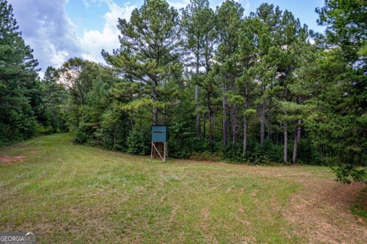 Picture of Residential Land For Sale in Madison, Georgia, United States