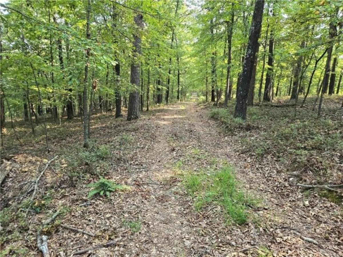 Picture of Residential Land For Sale in Rogers, Arkansas, United States