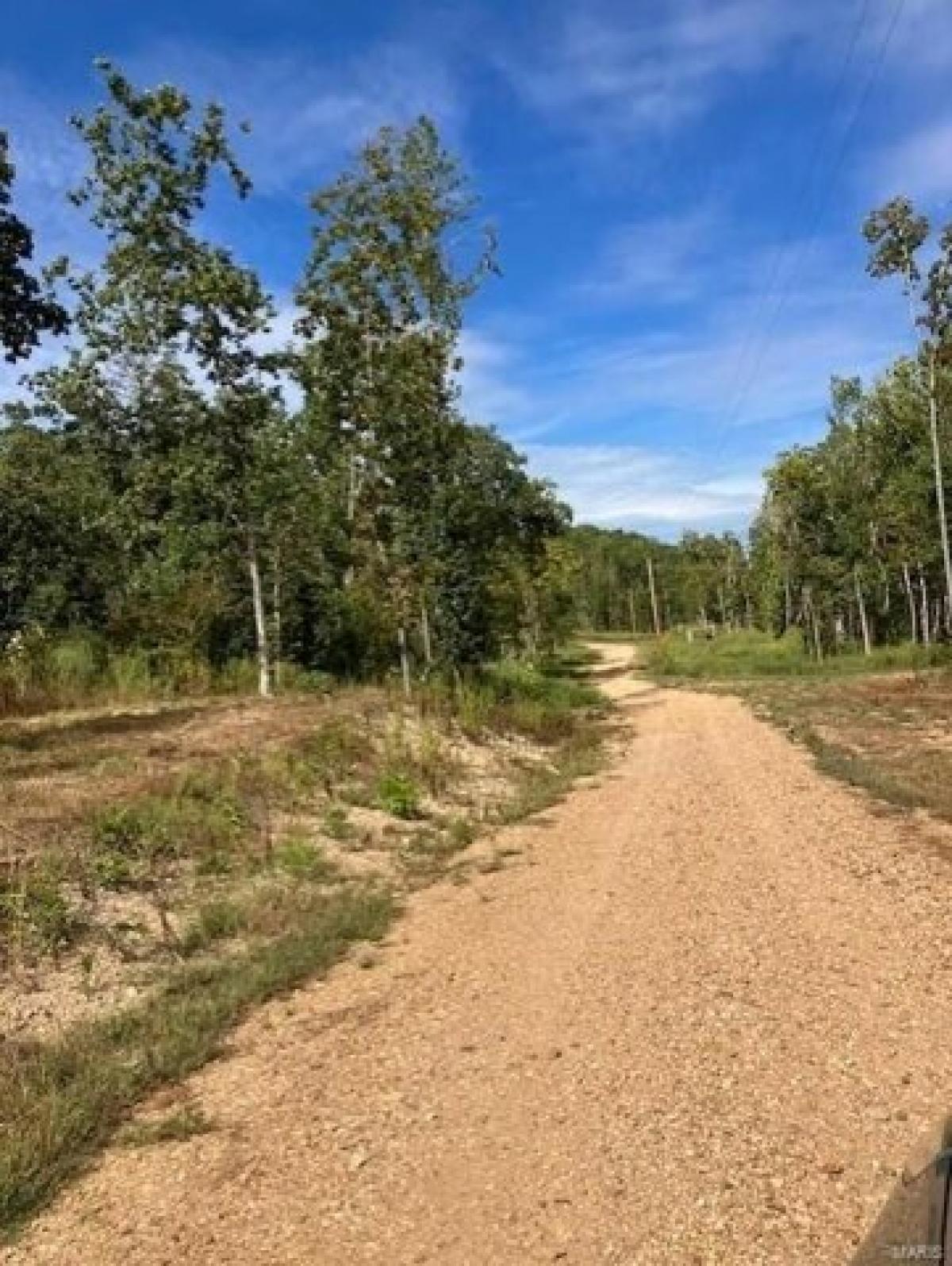 Picture of Residential Land For Sale in Fredericktown, Missouri, United States