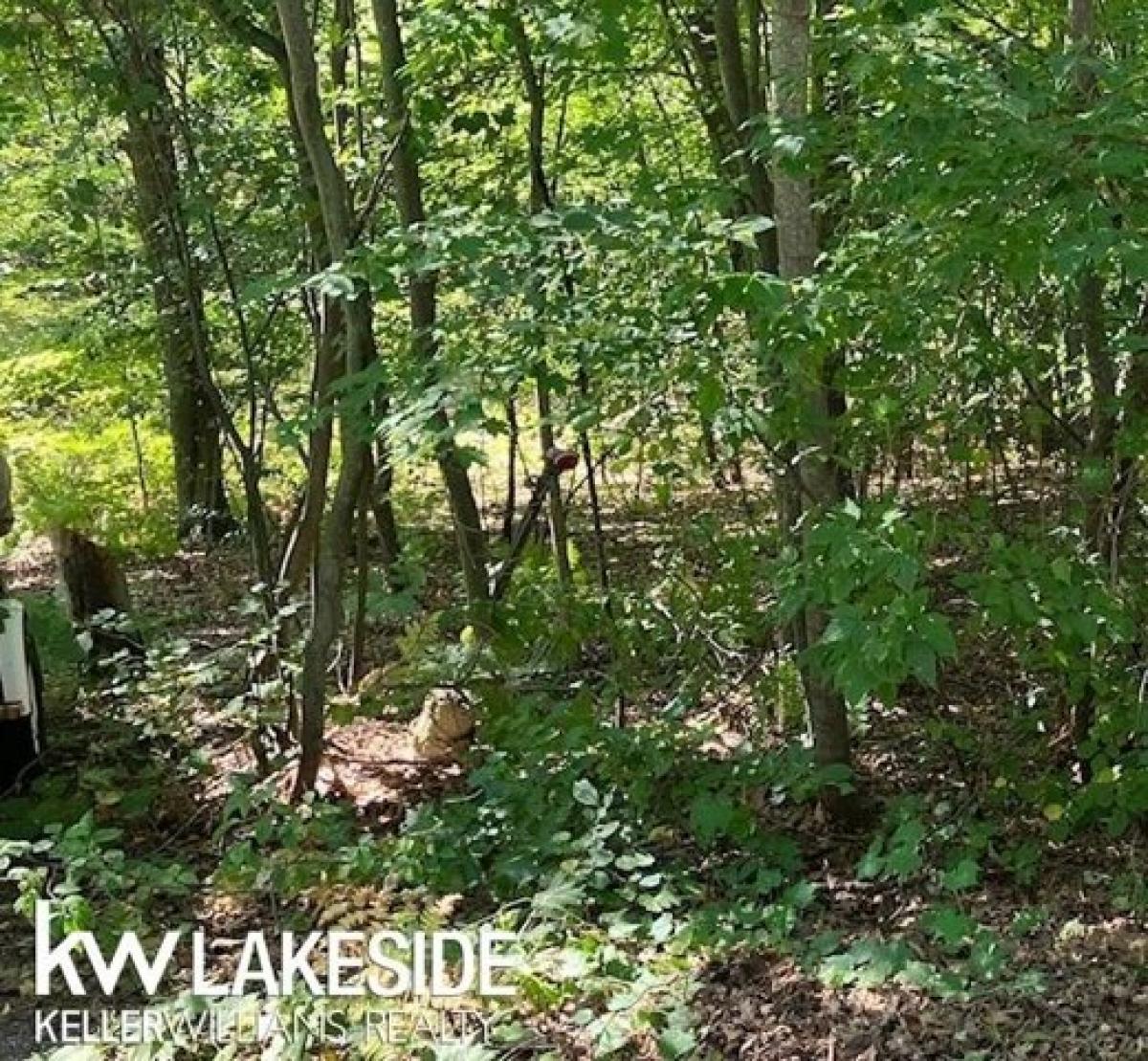 Picture of Residential Land For Sale in Caseville, Michigan, United States