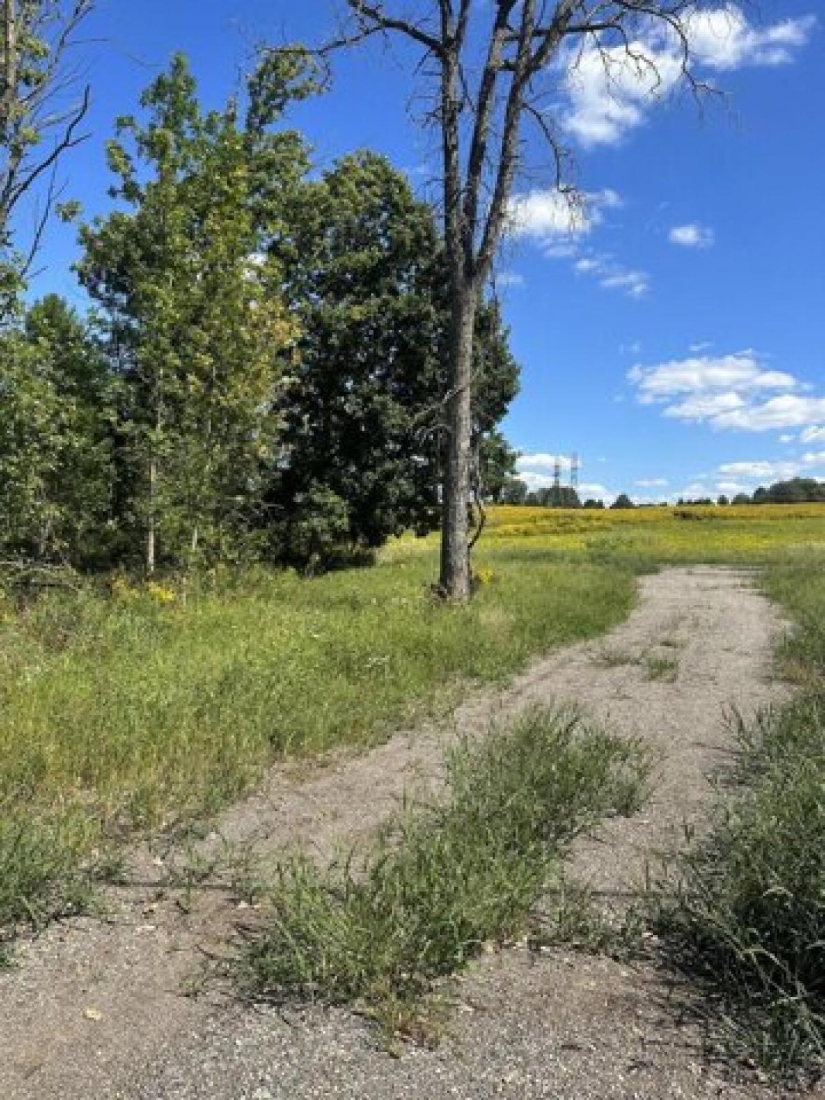 Picture of Residential Land For Sale in Grand Rapids, Michigan, United States