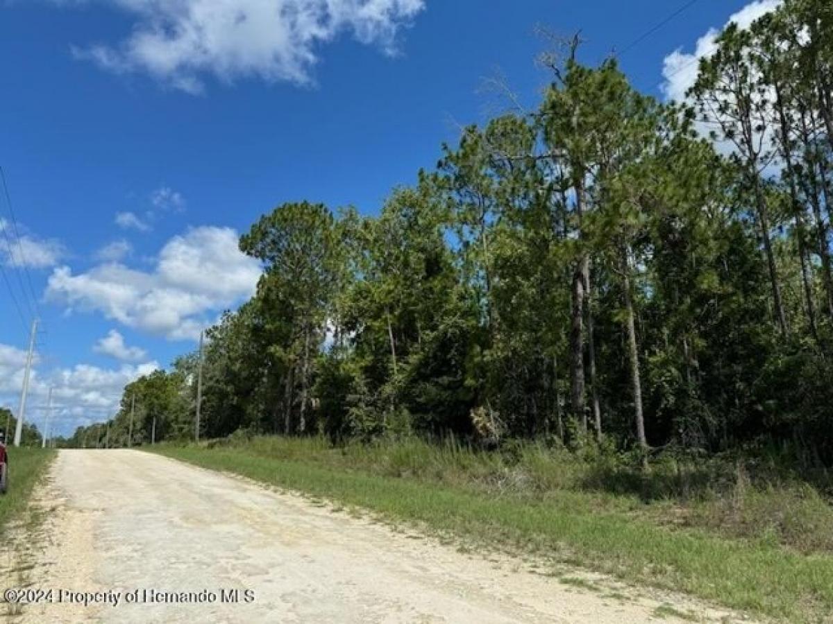 Picture of Residential Land For Sale in Brooksville, Florida, United States