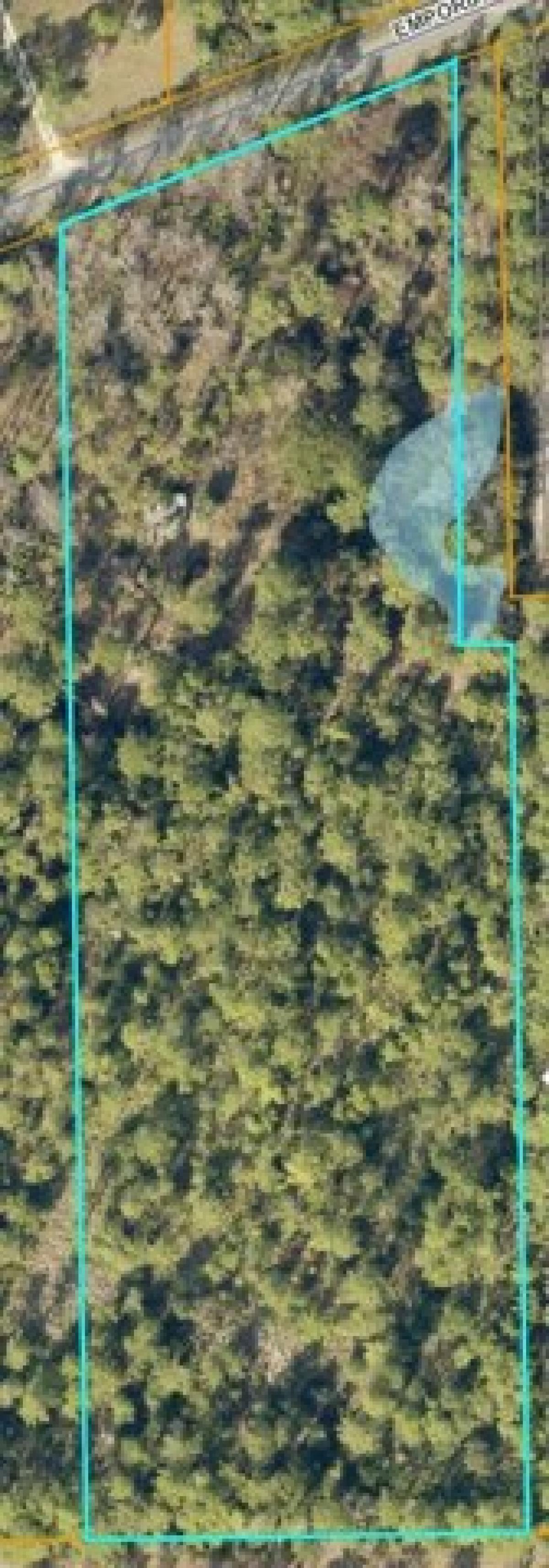 Picture of Residential Land For Sale in Pierson, Florida, United States