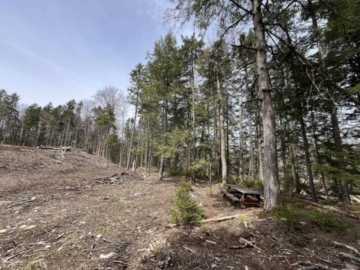 Picture of Residential Land For Sale in Readsboro, Vermont, United States