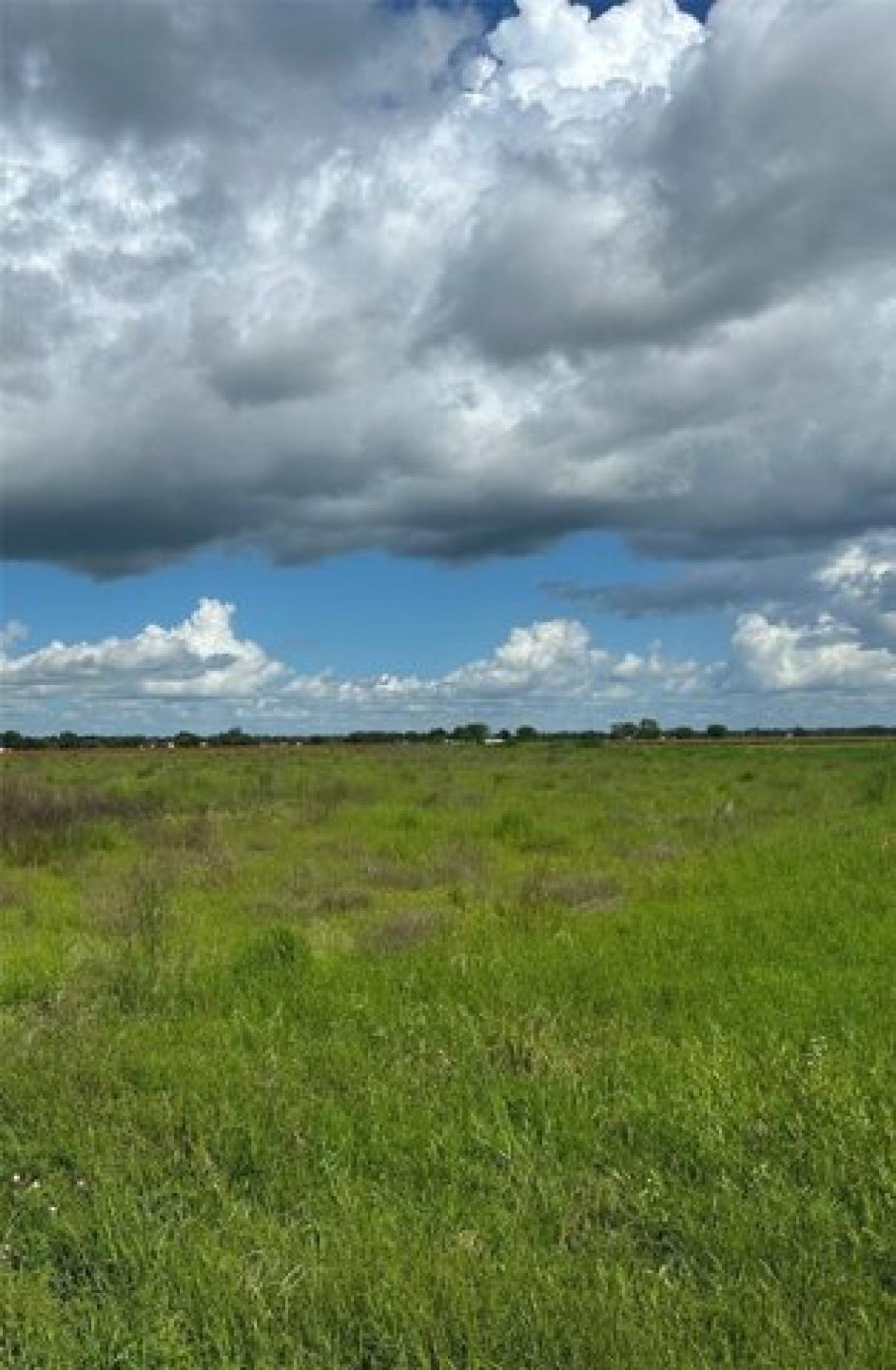 Picture of Residential Land For Sale in East Bernard, Texas, United States