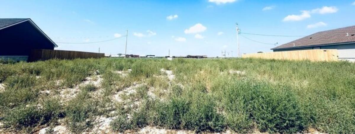 Picture of Residential Land For Sale in Cactus, Texas, United States