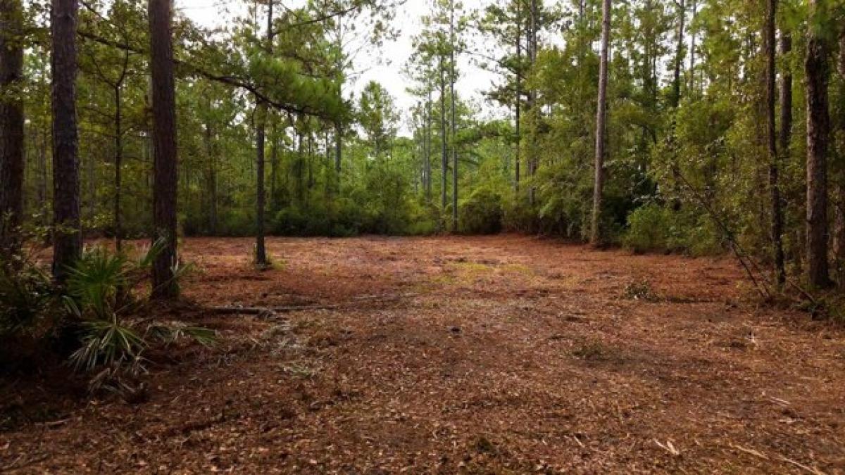 Picture of Residential Land For Sale in Tallahassee, Florida, United States