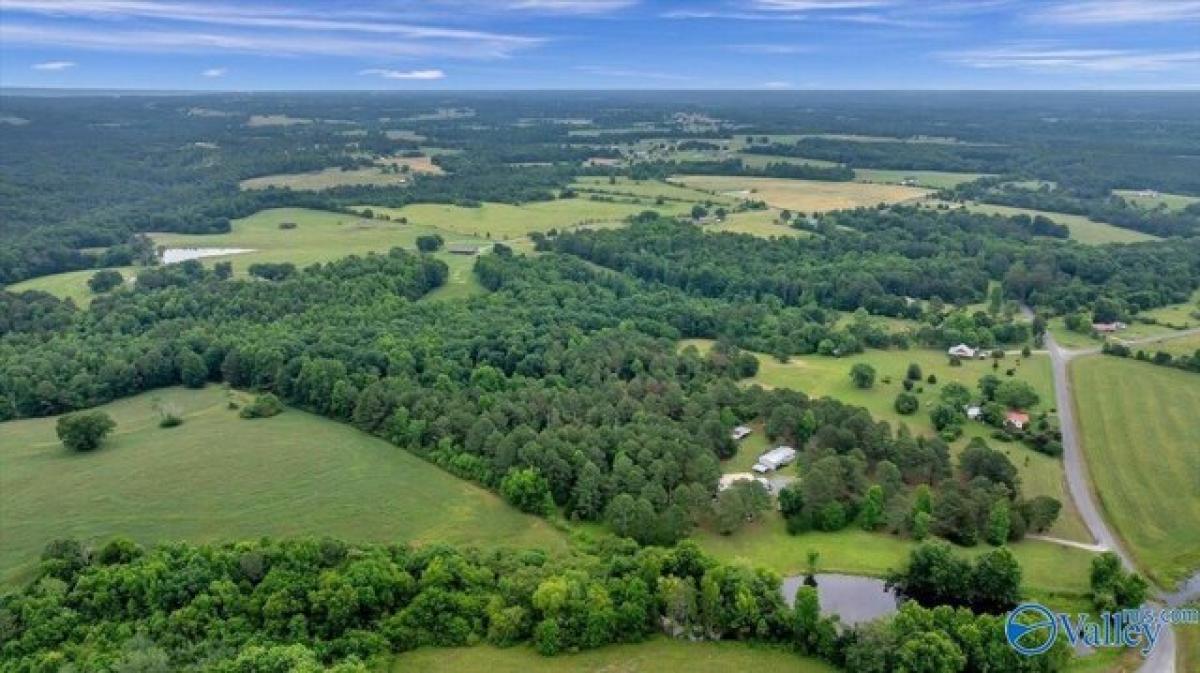 Picture of Residential Land For Sale in Section, Alabama, United States