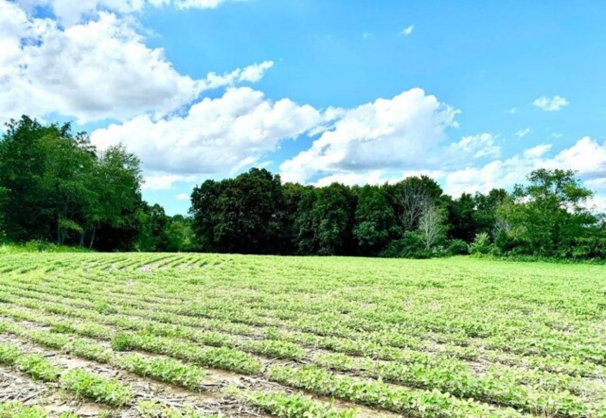 Picture of Residential Land For Sale in Campbellsport, Wisconsin, United States