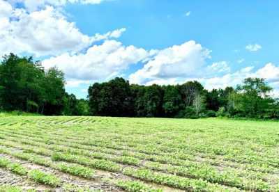 Residential Land For Sale in Campbellsport, Wisconsin