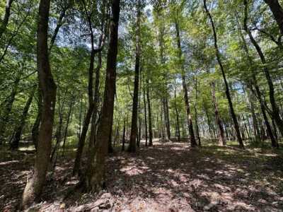 Residential Land For Sale in Carthage, Mississippi