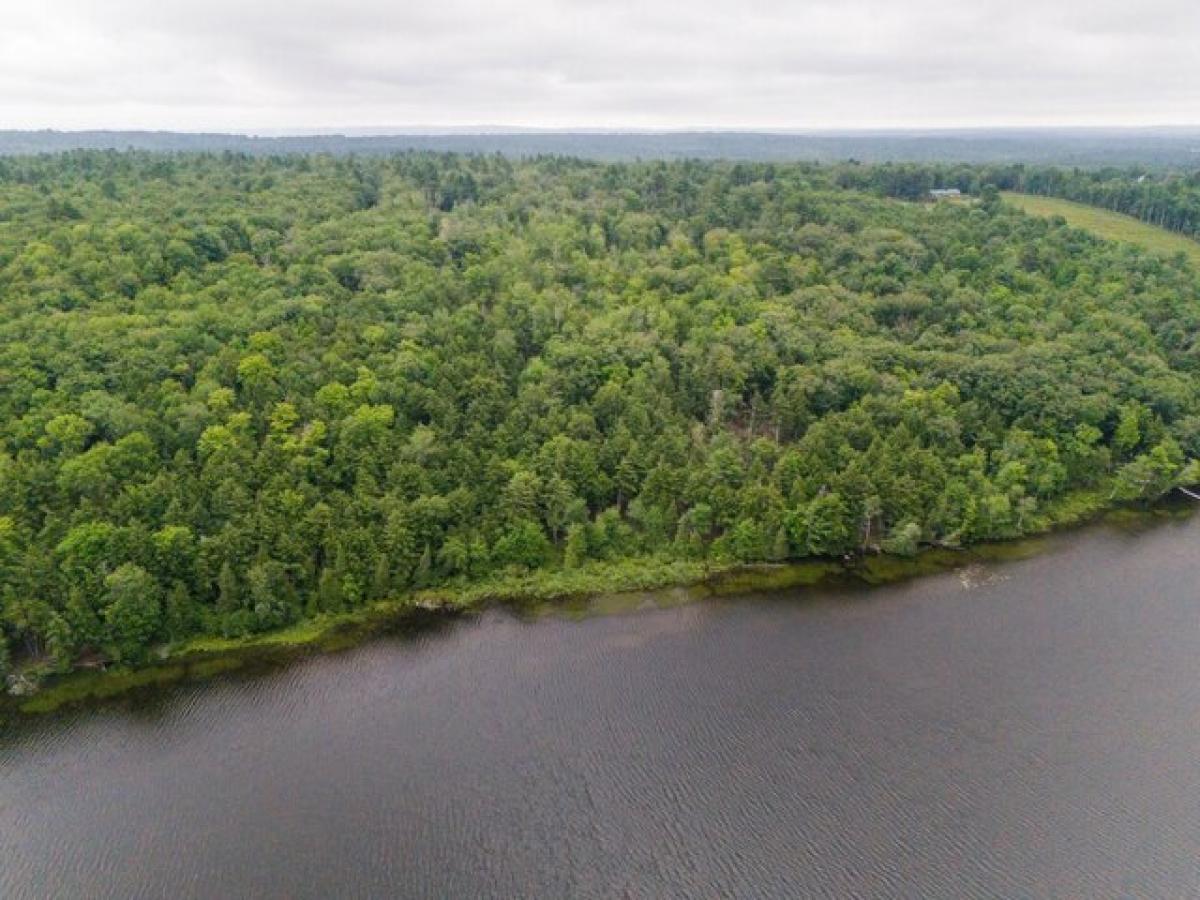 Picture of Residential Land For Sale in Belgrade, Maine, United States