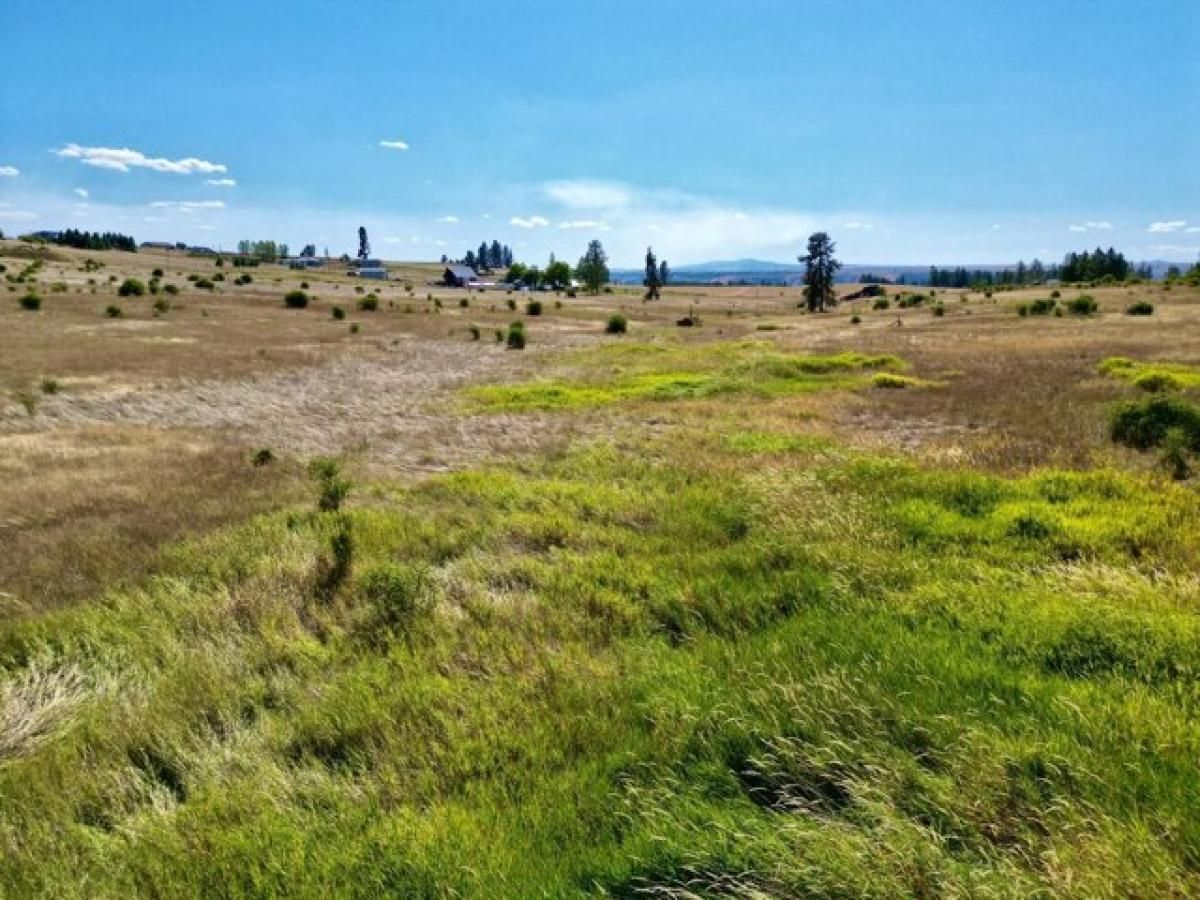 Picture of Residential Land For Sale in Kamiah, Idaho, United States