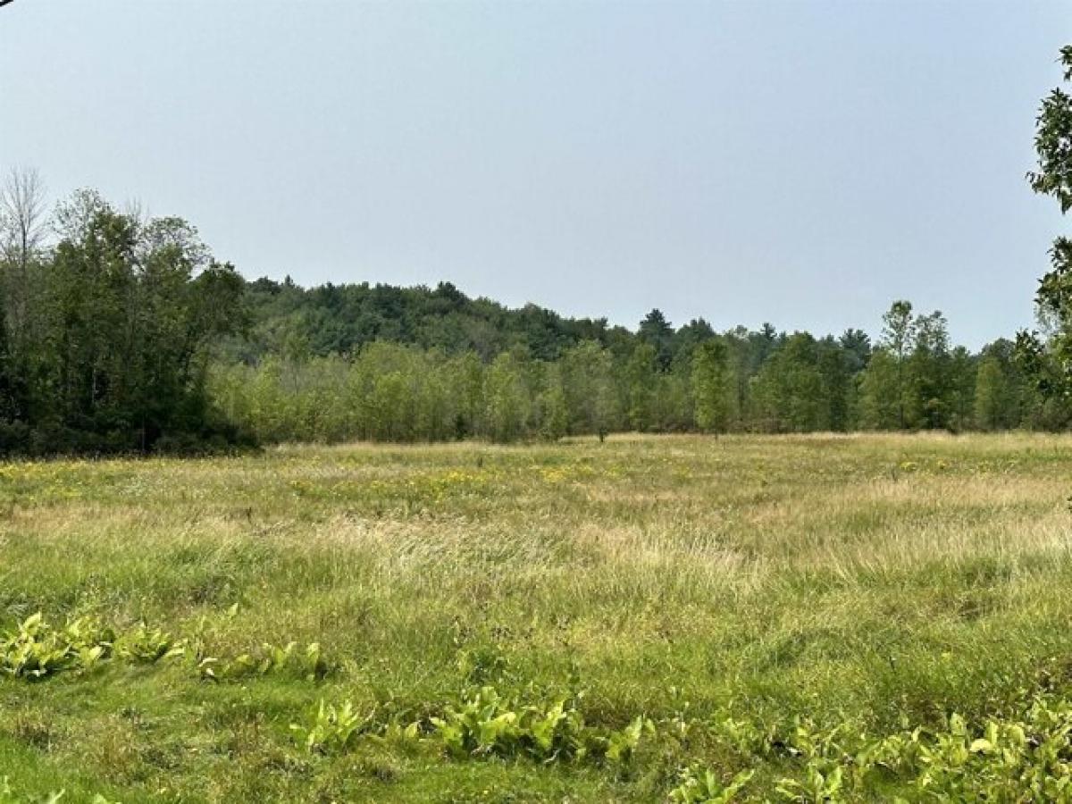 Picture of Residential Land For Sale in Hammond, New York, United States