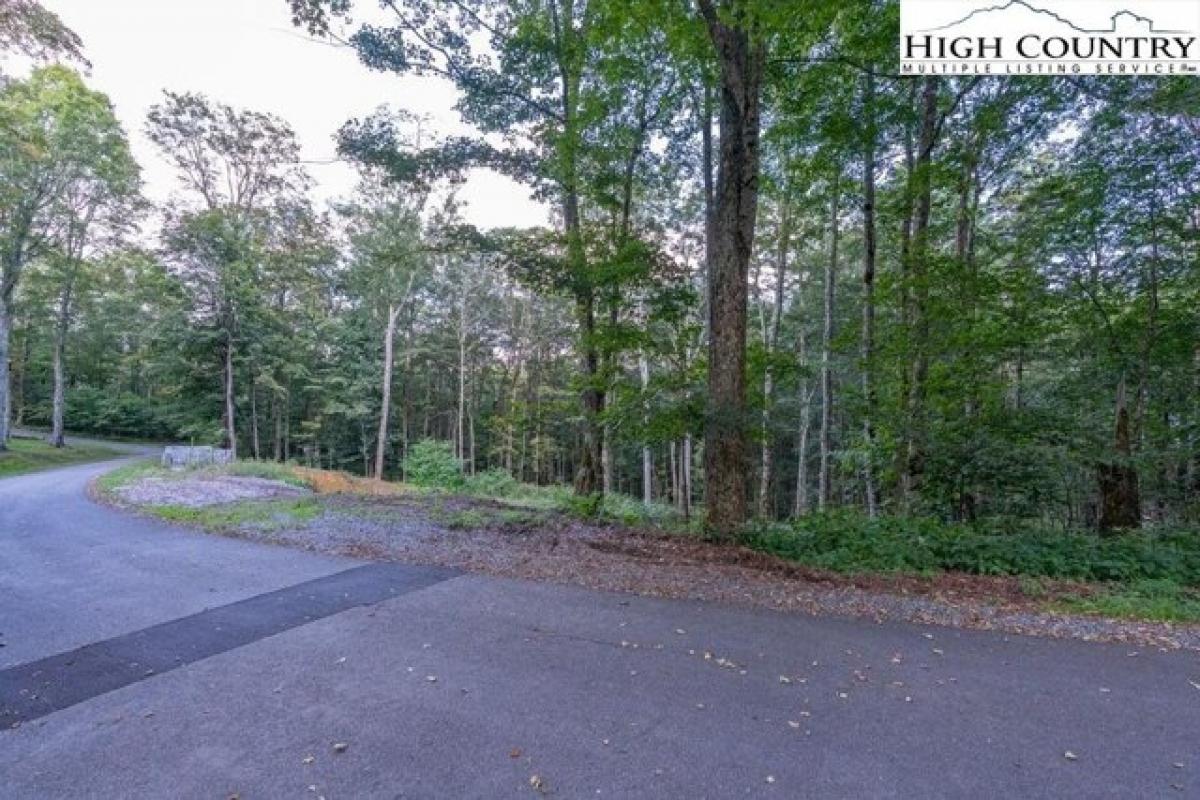 Picture of Residential Land For Sale in Sugar Mountain, North Carolina, United States