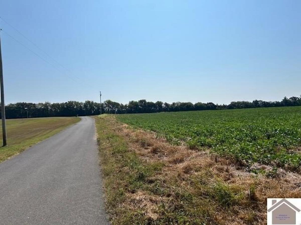 Picture of Residential Land For Sale in Murray, Kentucky, United States