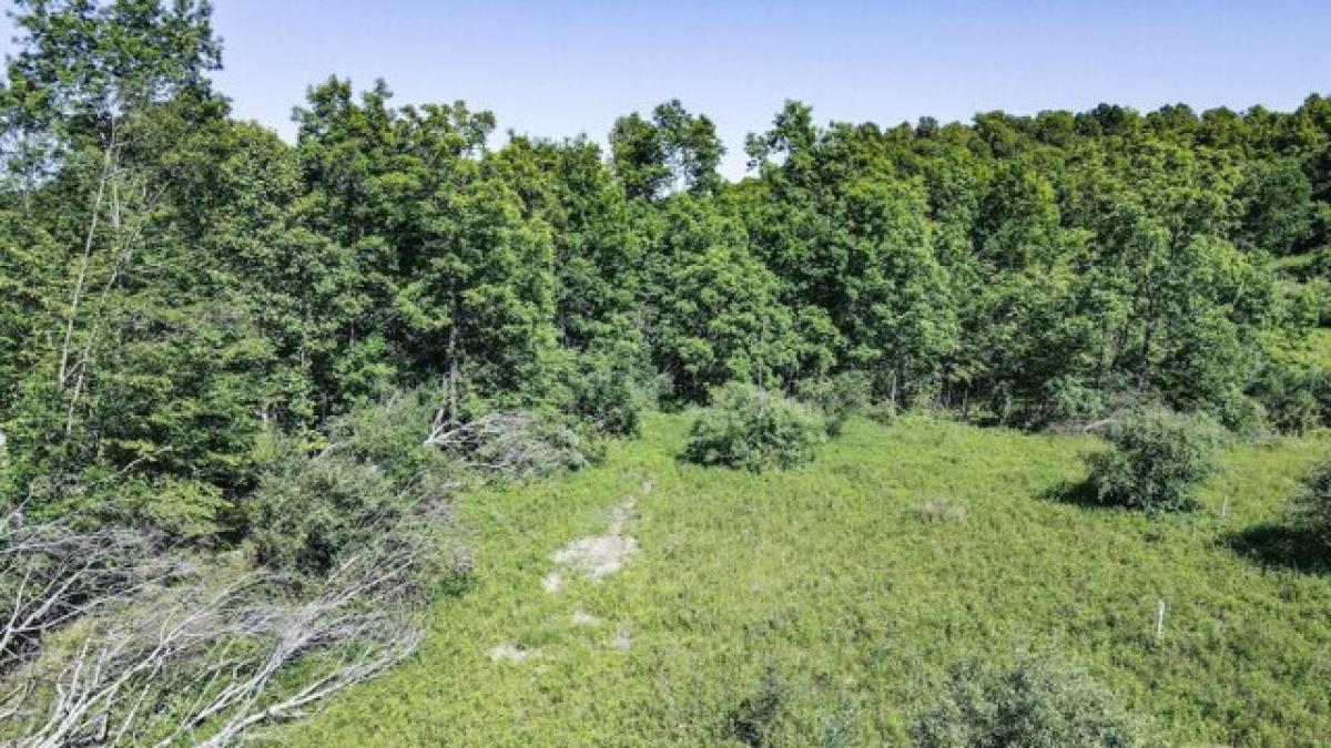 Picture of Residential Land For Sale in Caldwell, Ohio, United States