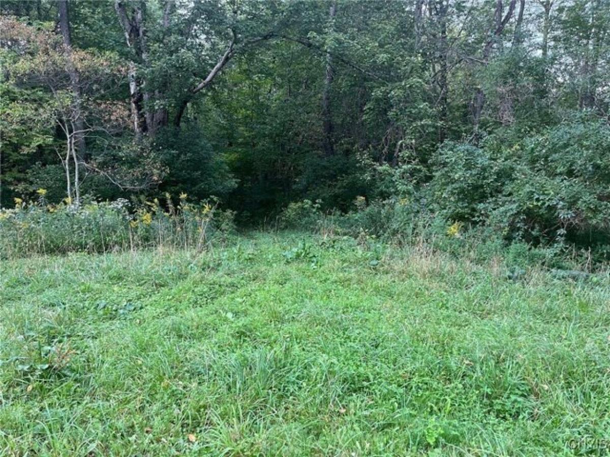 Picture of Residential Land For Sale in Redfield, New York, United States