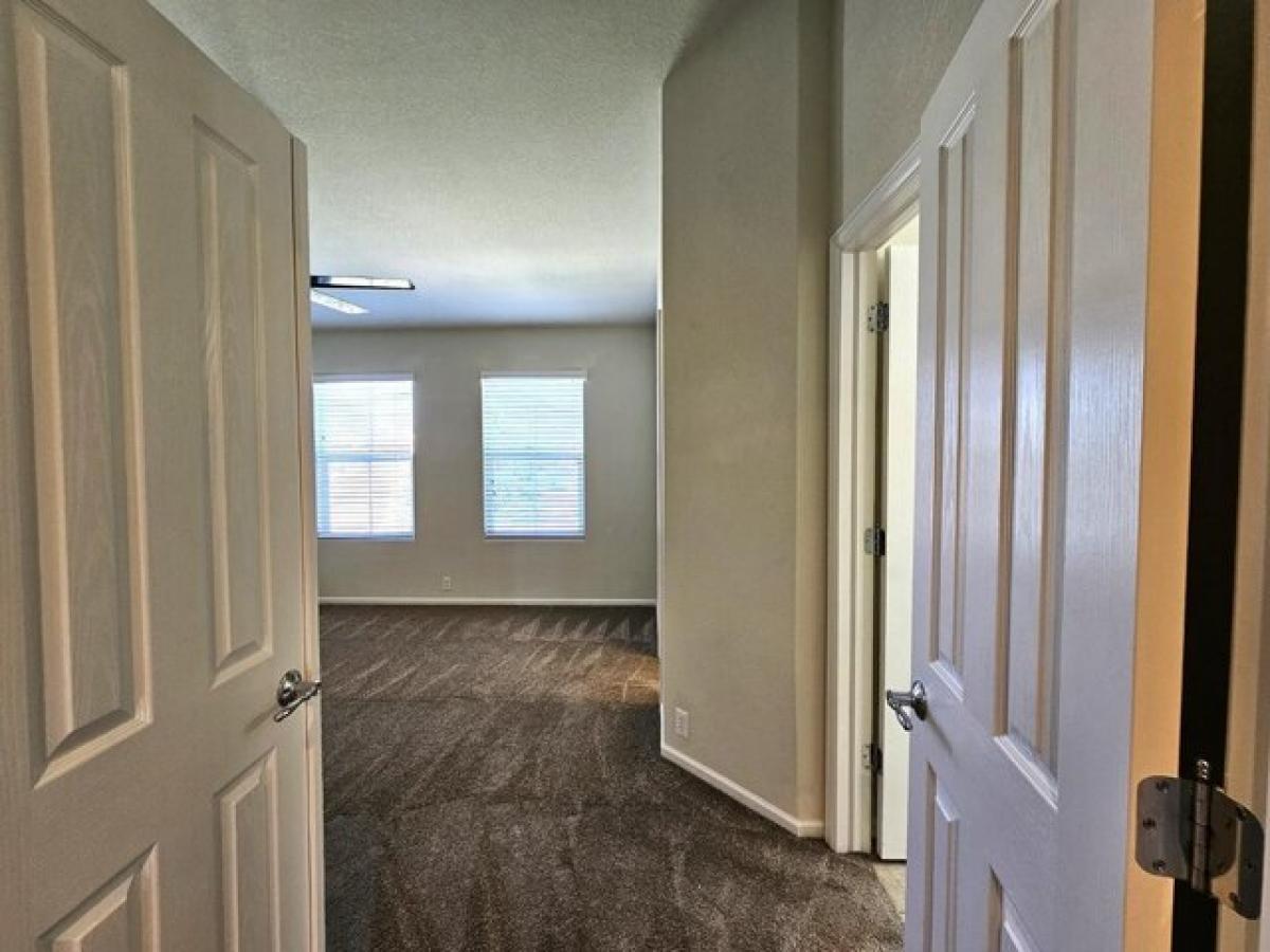 Picture of Home For Rent in Colorado Springs, Colorado, United States