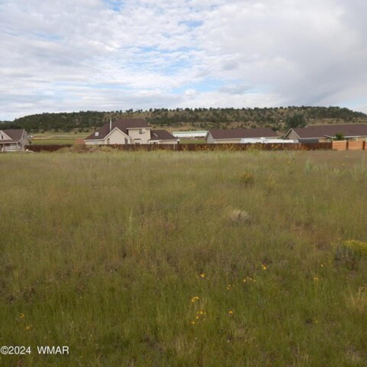 Picture of Residential Land For Sale in Eagar, Arizona, United States