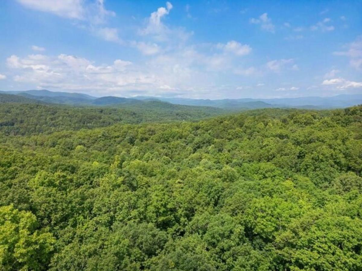 Picture of Residential Land For Sale in Blue Ridge, Georgia, United States