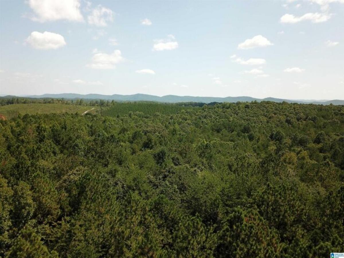 Picture of Residential Land For Sale in Gaylesville, Alabama, United States