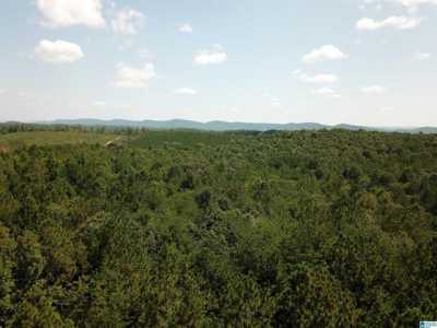 Residential Land For Sale in Gaylesville, Alabama