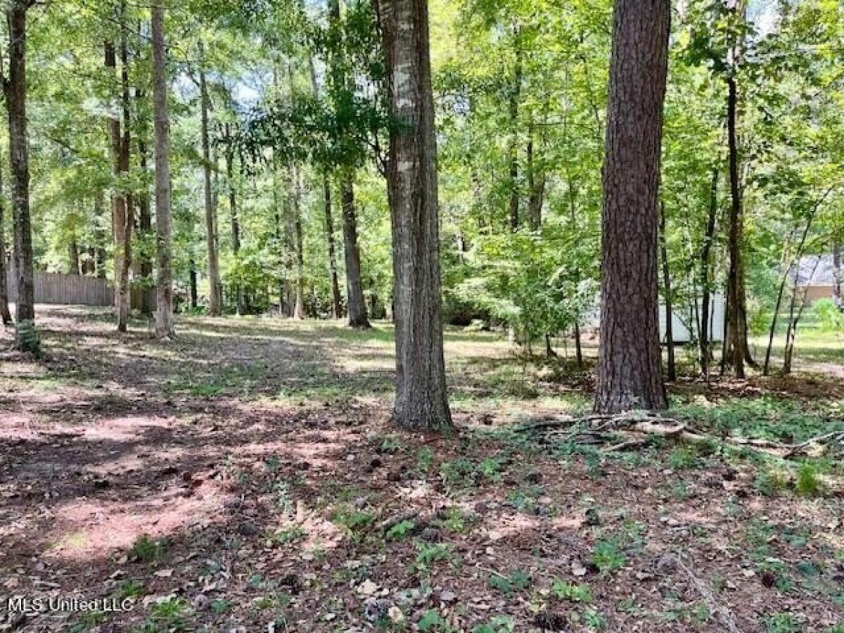 Picture of Home For Sale in Florence, Mississippi, United States