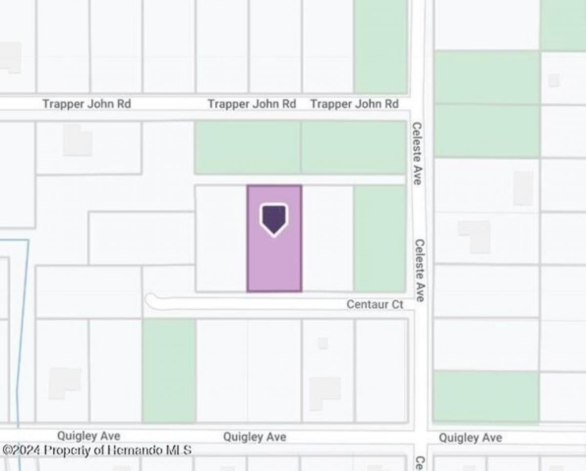 Picture of Residential Land For Sale in Brooksville, Florida, United States