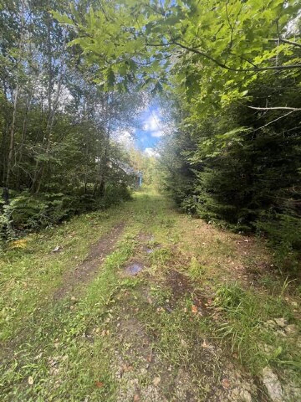 Picture of Residential Land For Sale in Monmouth, Maine, United States